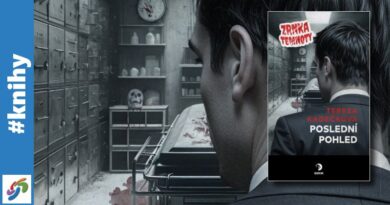 Poslední pohled - recenze