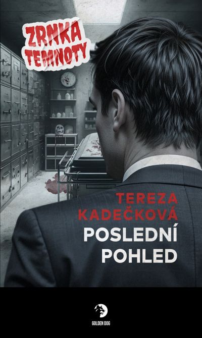 Poslední pohled - recenze