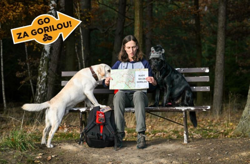 Vítězná fotografie Go za Gorilou! (foto: Veronika Roubová) 