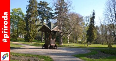 Chrudimský Městský park