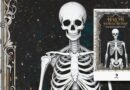 Hrob pod schody - recenze