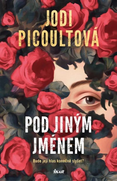 Pod jiným jménem - recenze