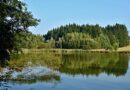 Ratajské rybníky