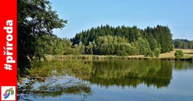 Ratajské rybníky