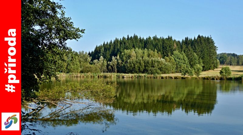 Ratajské rybníky