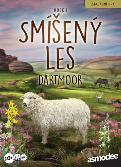 Smíšený les - Dartmoor