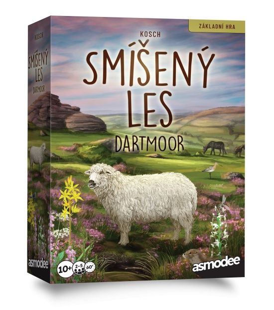 Smíšený les - Dartmoor